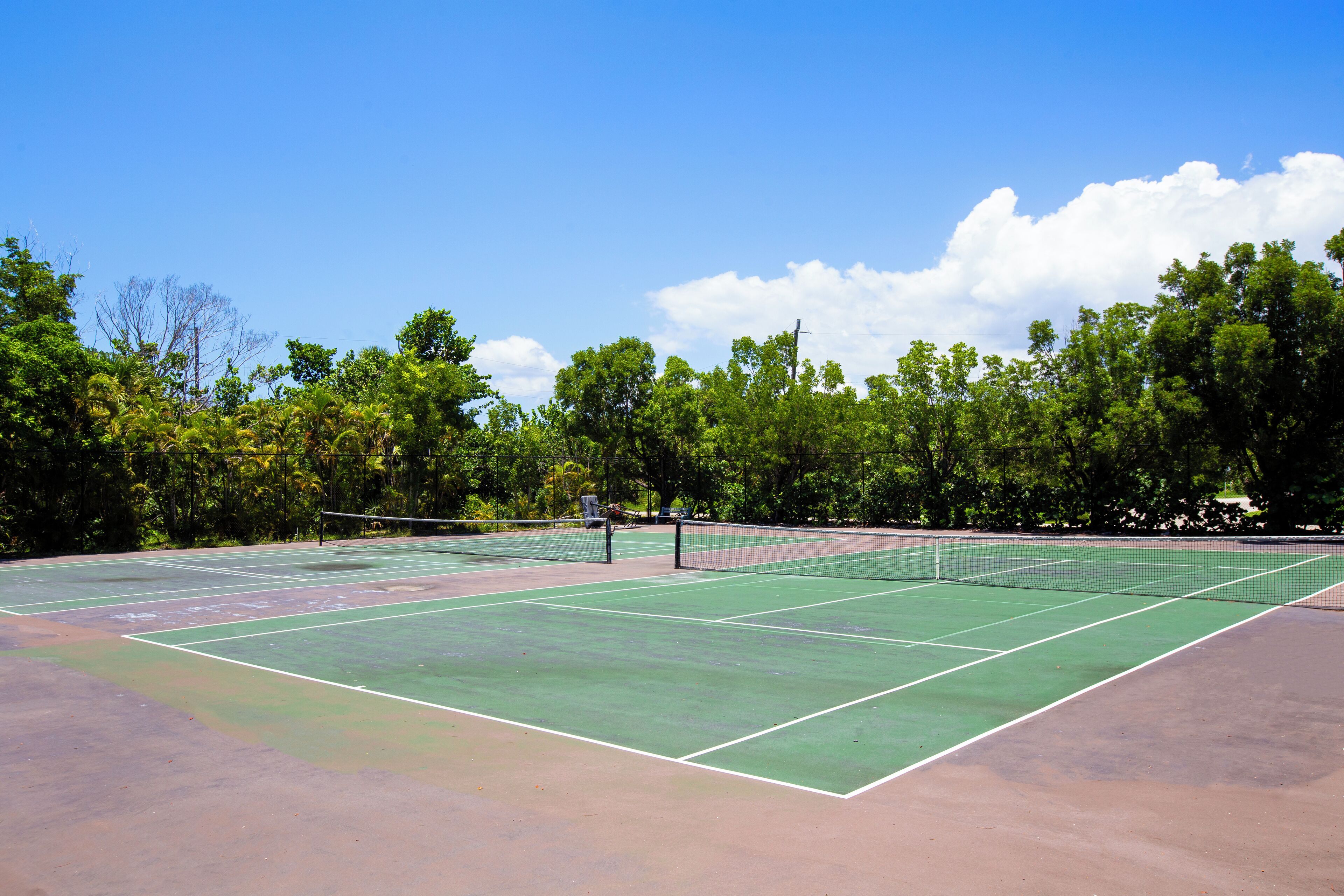 Un campo da tennis con una rete, circondato da alberi e un cielo sereno.