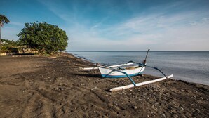 Una playa con un bote sobre la arena y un árbol al fondo.