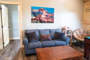 TV connectée, cheminée, jeux vidéo, lecteur de DVD