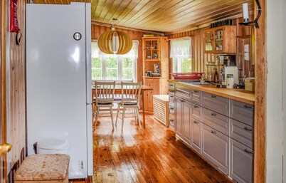 3 bedroom lovely home in Rjukan