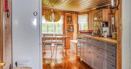 3 bedroom lovely home in Rjukan