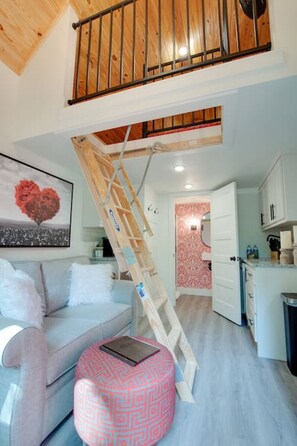 TV, stereo - #17 Heartthrob Tiny Cottage (Scottsboro)