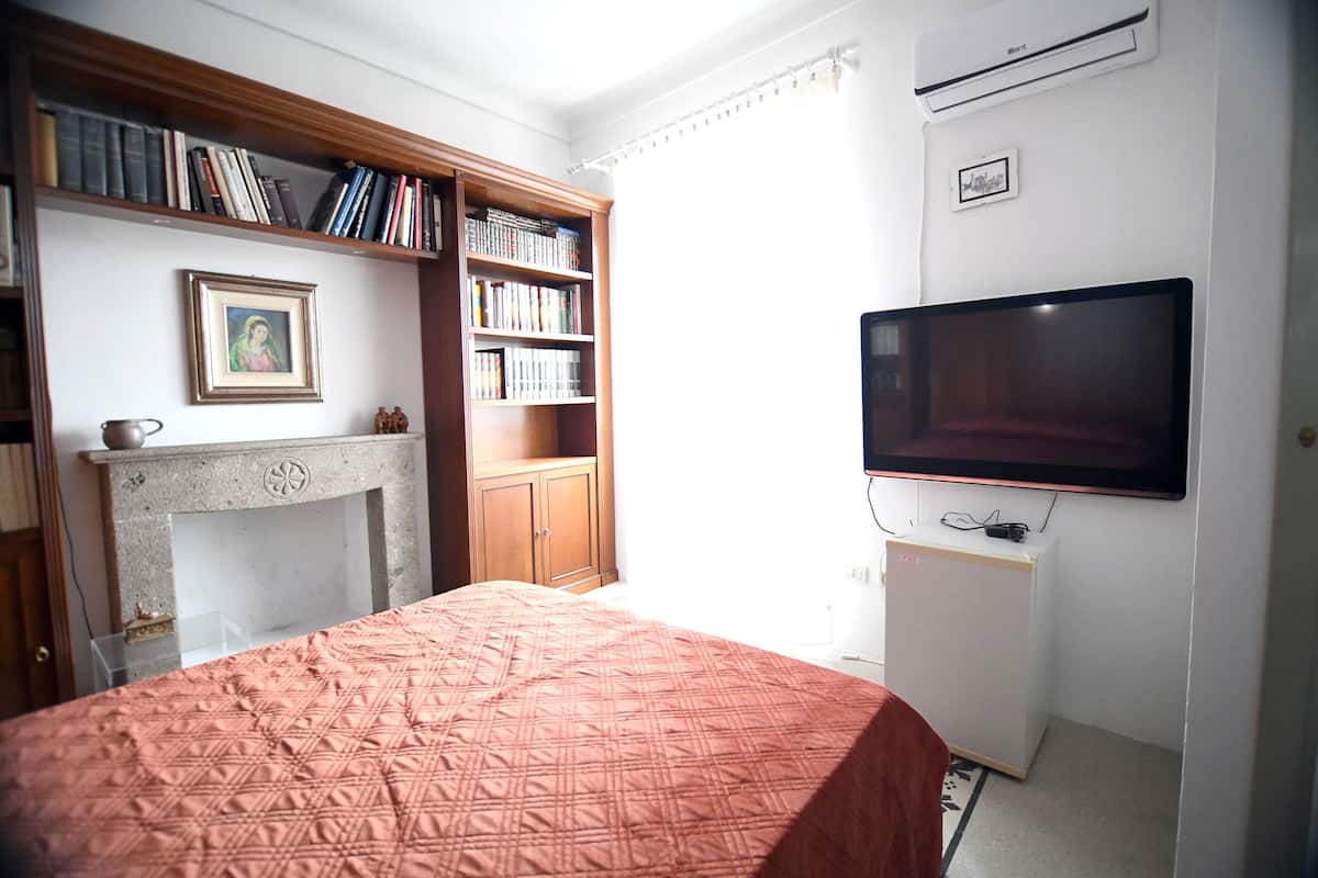 A bedroom with a bed, a bookshelf, a television, and a fireplace.