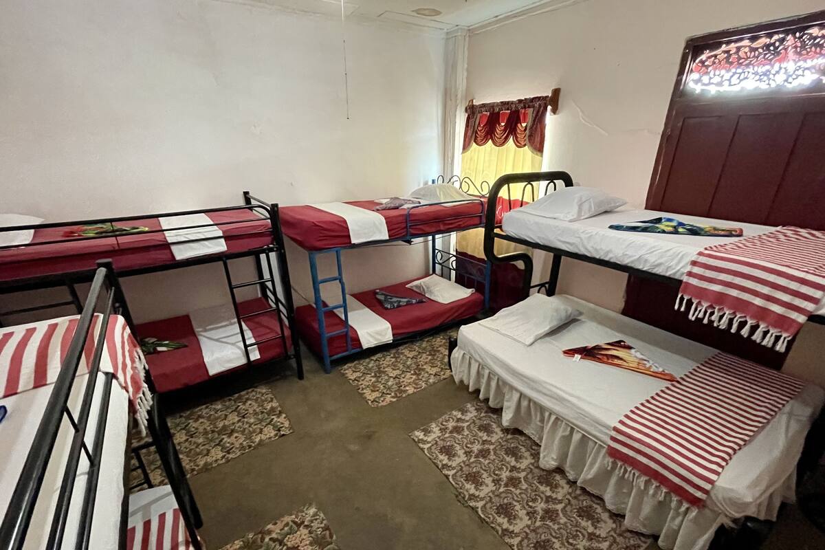 A dormitory room with bunk beds, a patterned rug, and a window with curtains.