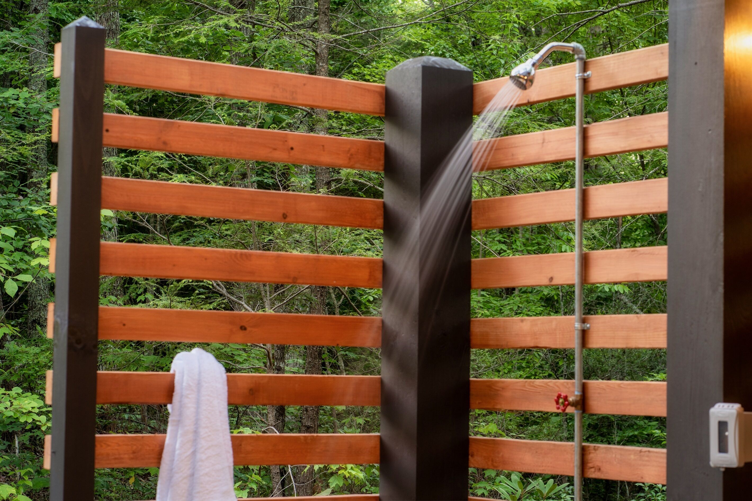 A wooden bench with a towel hanging on it, set against a backdrop of dense greenery.