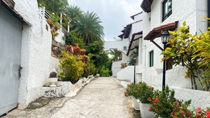 A narrow, white-walled alley with potted plants and flowers lining the path. - Live an Adventure in Taboga 1 (Provincia de Panamá)