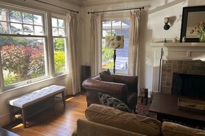 Smart TV, chimenea y libros 