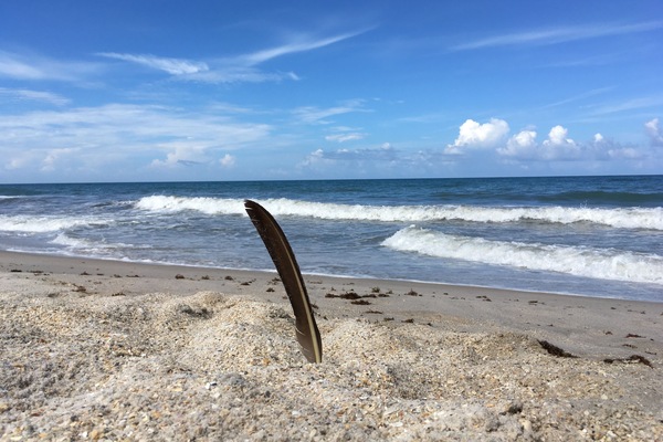 Welcome to our secluded beach - AKA, your backyard stroll.