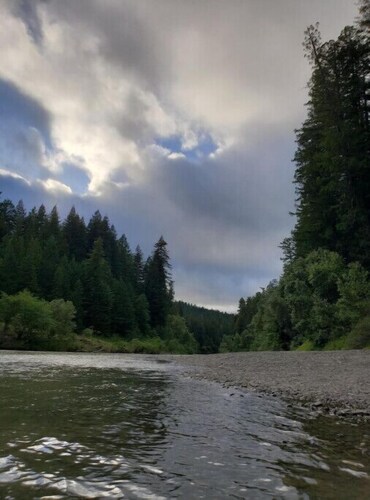 Retro Cabin in the Redwoods - remote location close to hiking and the river
