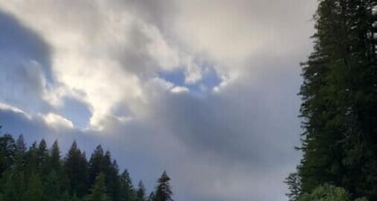 Retro Cabin in the Redwoods - remote location close to hiking and the river