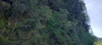 Retro Cabin in the Redwoods - remote location close to hiking and the river