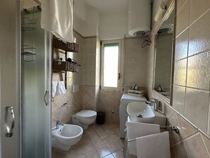 Shower, hair dryer, bidet, towels