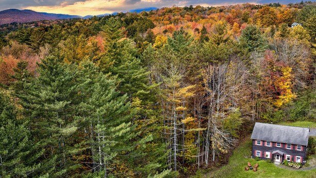 A house surrounded by a forest with autumn foliage. - Stowe Sticks: 4 br, a/c, gas fireplace, firepit, deck! (Stowe)