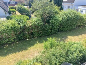 Luokittelematon kuva, 3 kautta 25, painike