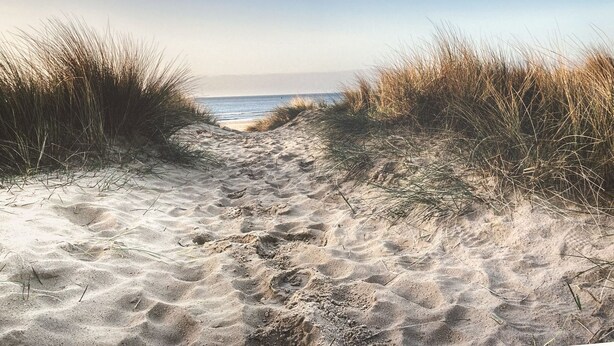 A sandy beach path leading to the ocean, surrounded by tall grass.