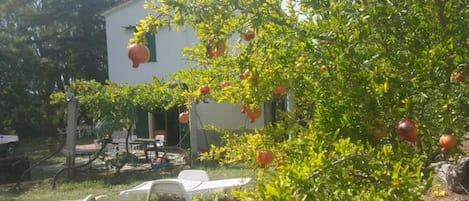 Overnattingsstedets uteområder