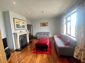 TV, fireplace, books