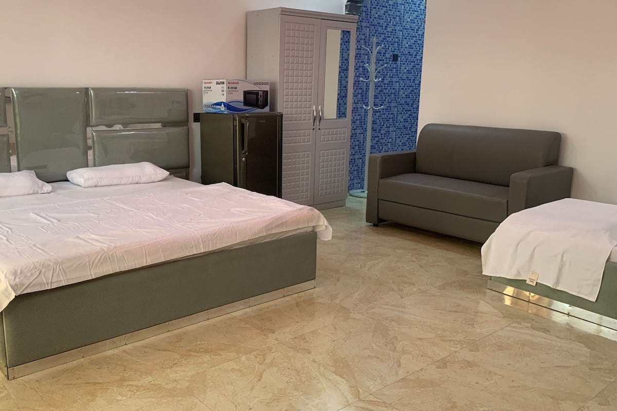 A bedroom with a bed, a sofa, a wardrobe, and a microwave.