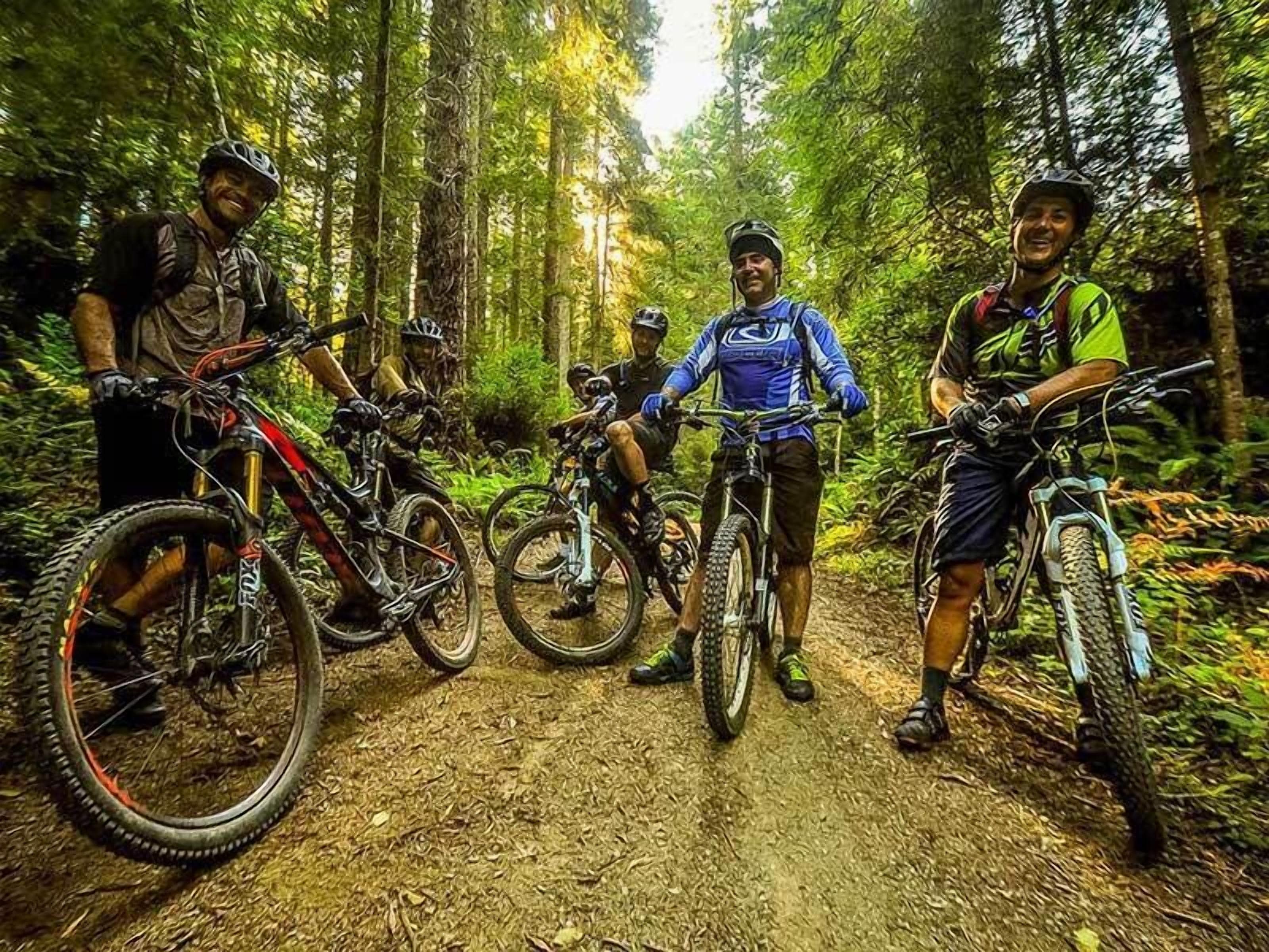 A group of mountain bikers on a forest trail with their bikes.