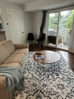 Smart TV, fireplace - Celestial Pointe Condominium 1 Bedroom 1 Bathroom, Sleeps 4 @ Northern Lights (Douglas)