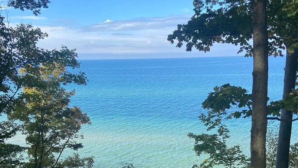 Een strand met helderblauw water, omgeven door bomen.