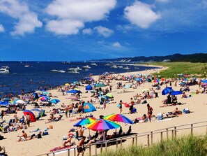 Beach towels - Celestial Pointe Condominium 1 Bedroom 1 Bathroom, Sleeps 4 @ Northern Lights (Douglas)