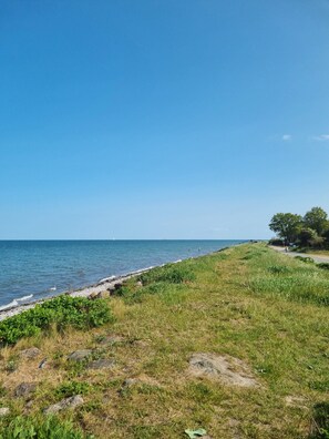 Ranta