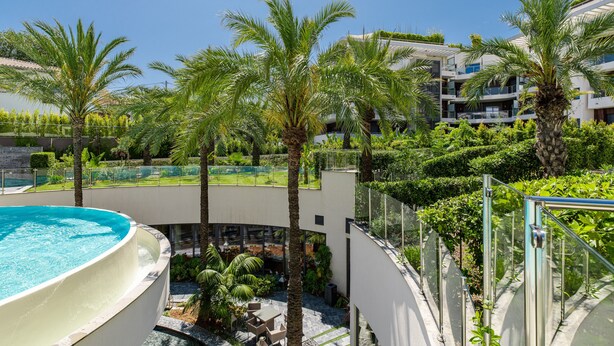 Un hotel moderno con piscina, palmeras y un jardín bien cuidado.