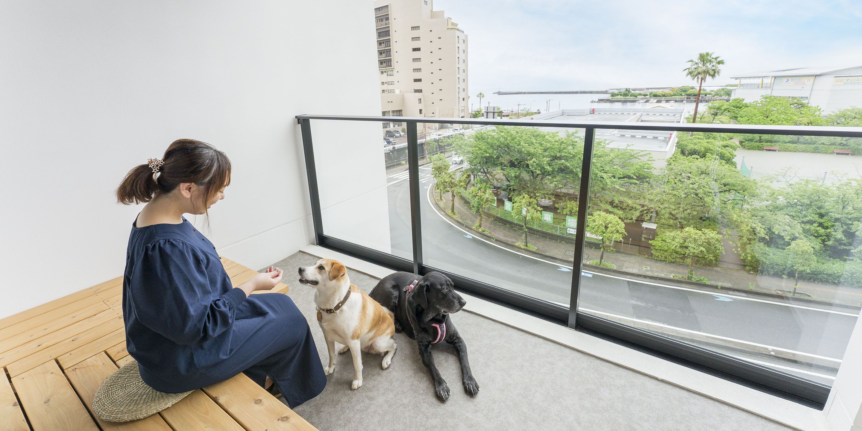 Une personne assise sur un balcon, accompagnée de deux chiens, et qui surplombe un paysage urbain avec des bâtiments et de la verdure.