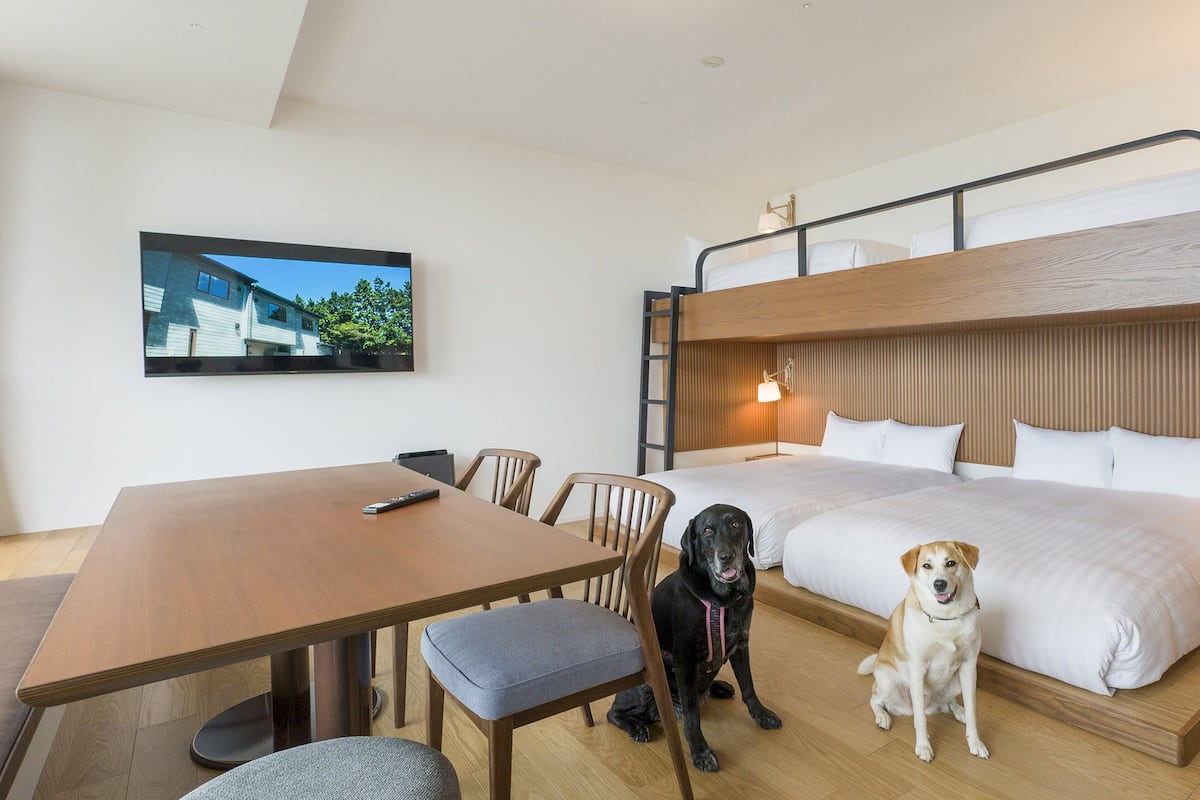 Bunk bed Room Dog friendly/1off-site parking lot | 1 bedroom, in-room safe, free WiFi, bed sheets
