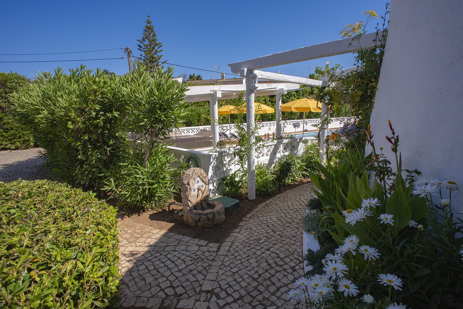 Terrein van de accommodatie