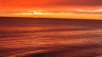Accommodatie ligt op het strand, ligstoelen