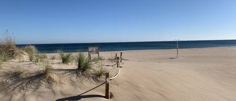 On the beach, sun loungers