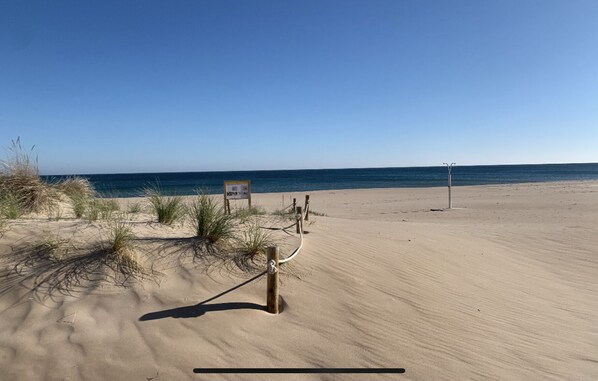 On the beach, sun-loungers