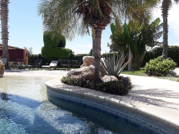 Alberca al aire libre 