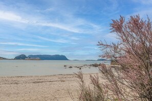 海灘