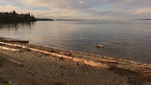A calm lake with a sandy shore, boats in the distance, and a cloudy sky. - Gulf Island View Suite (Chemainus)