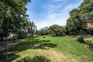 Property grounds - Unique City View Apartment in De Waterkant 207 DWP (Cape Town)