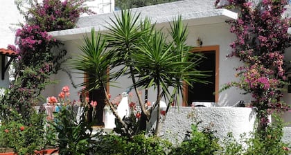 Skiathos Troulos Studios 500 Metres From the Beach Surrounded by Pine Trees