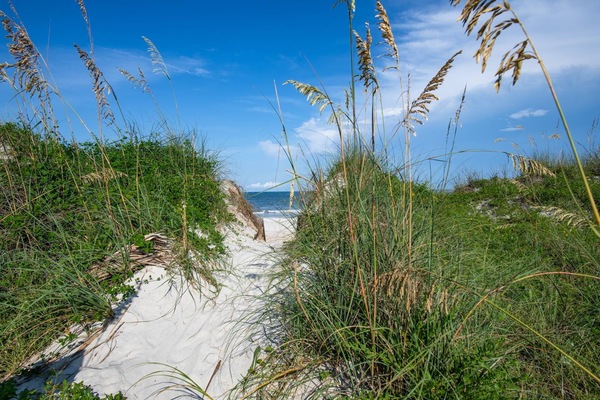 Beach nearby, beach towels, surfing, motor boating