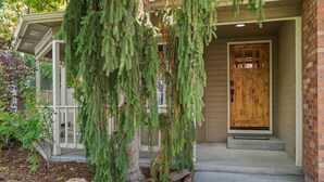A wooden house with a front porch, a door, and a small garden area with a tree and rocks.