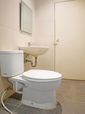 Shower, towels, toilet paper