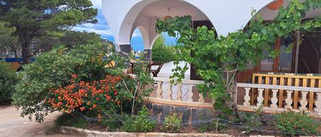 Terrein van de accommodatie