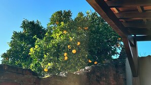 En mur av tegelstenar med en träpergola ovanför.