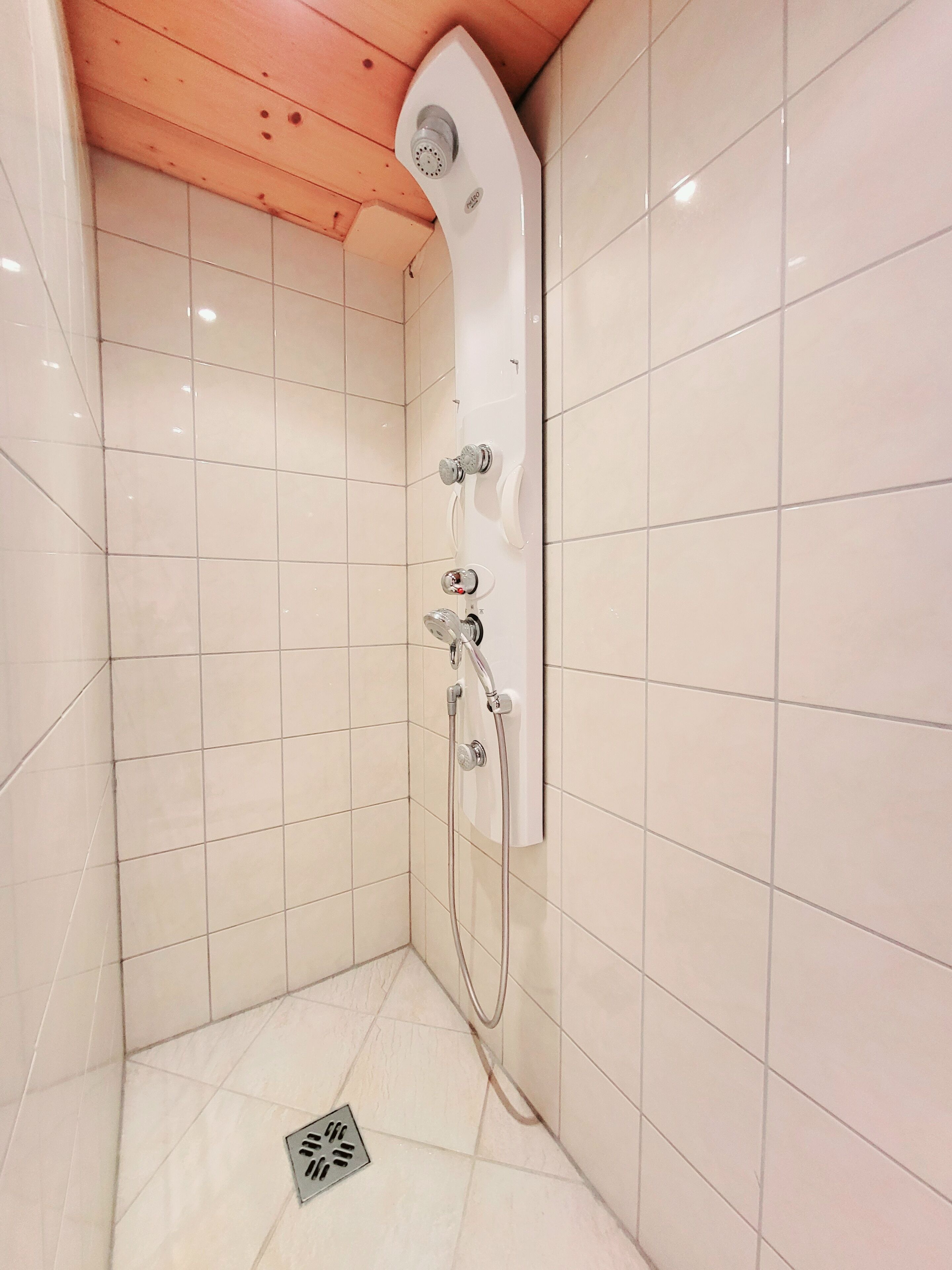 A small, tiled shower with a curved showerhead and a handheld shower attachment.