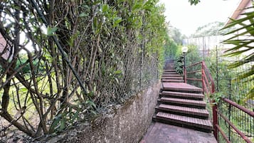 Eine Holztreppe mit Metallgeländern, umgeben von dichtem Grün und einem Drahtzaun.
