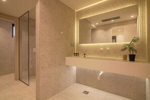 Séchoir à cheveux, serviettes fournies, savon, shampooing