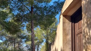Un edificio rústico de piedra con puerta de madera, rodeado de pinos y terreno rocoso.
