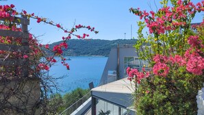 Une vue côtière avec une mer bleue et limpide, un paysage montagneux en arrière-plan et des plantes à fleurs roses.