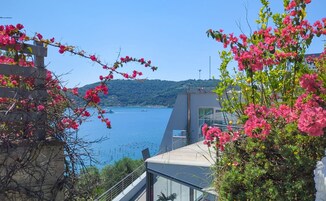 Vista costera con mar azul cristalino, montañas al fondo y plantas con flores rosadas.